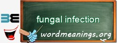 WordMeaning blackboard for fungal infection